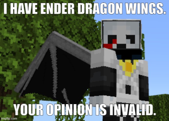 something that randomly came to mind | I HAVE ENDER DRAGON WINGS. YOUR OPINION IS INVALID. | made w/ Imgflip meme maker