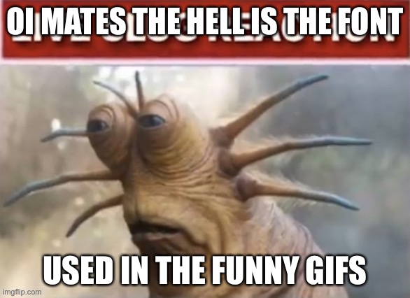 OI MATES THE HELL IS THE FONT; USED IN THE FUNNY GIFS | made w/ Imgflip meme maker