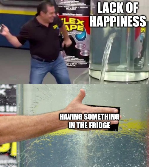 lol | LACK OF HAPPINESS; HAVING SOMETHING IN THE FRIDGE | image tagged in flex tape | made w/ Imgflip meme maker