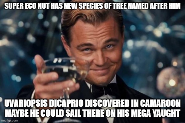 Leonardo Dicaprio Cheers Meme | SUPER ECO NUT HAS NEW SPECIES OF TREE NAMED AFTER HIM; UVARIOPSIS DICAPRIO DISCOVERED IN CAMAROON MAYBE HE COULD SAIL THERE ON HIS MEGA YAUGHT | image tagged in memes,leonardo dicaprio cheers | made w/ Imgflip meme maker