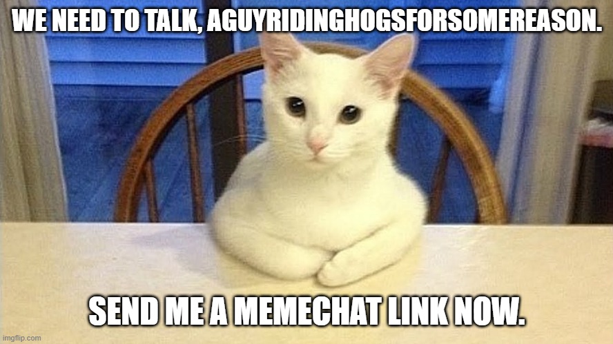 I am the worst Karen | WE NEED TO TALK, AGUYRIDINGHOGSFORSOMEREASON. SEND ME A MEMECHAT LINK NOW. | image tagged in we need to talk cat | made w/ Imgflip meme maker