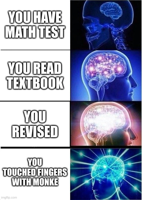 Expanding Brain | YOU HAVE MATH TEST; YOU READ TEXTBOOK; YOU REVISED; YOU TOUCHED FINGERS WITH MONKE | image tagged in memes,expanding brain | made w/ Imgflip meme maker