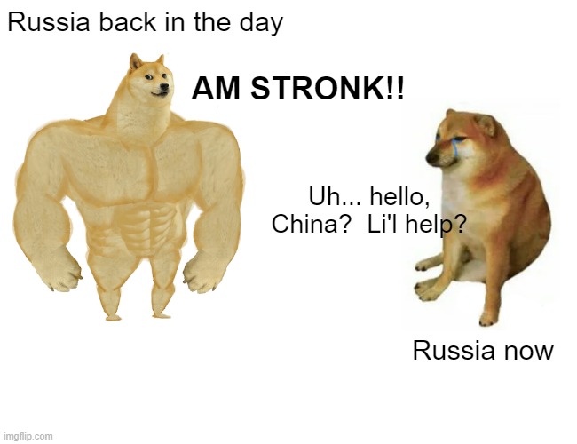 Buff Doge vs. Cheems | Russia back in the day; AM STRONK!! Uh... hello, China?  Li'l help? Russia now | image tagged in memes,buff doge vs cheems,putin's war | made w/ Imgflip meme maker