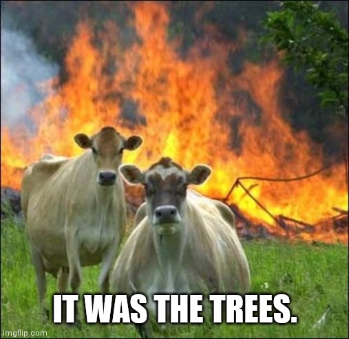 Evil Cows Meme | IT WAS THE TREES. | image tagged in memes,evil cows | made w/ Imgflip meme maker