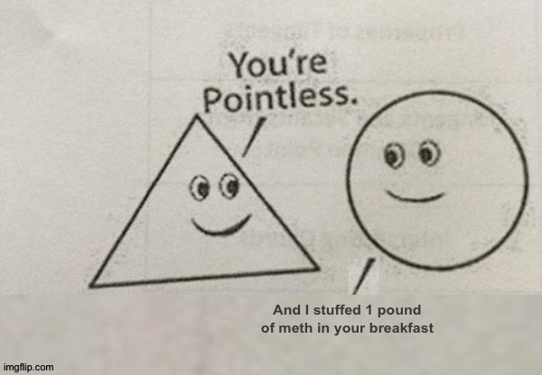 You're Pointless Blank | And I stuffed 1 pound of meth in your breakfast | image tagged in you're pointless blank | made w/ Imgflip meme maker