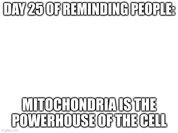day 25 | DAY 25 OF REMINDING PEOPLE:; MITOCHONDRIA IS THE POWERHOUSE OF THE CELL | image tagged in blank white template | made w/ Imgflip meme maker