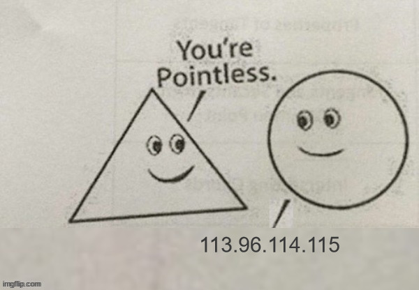 You're Pointless Blank | 113.96.114.115 | image tagged in you're pointless blank | made w/ Imgflip meme maker