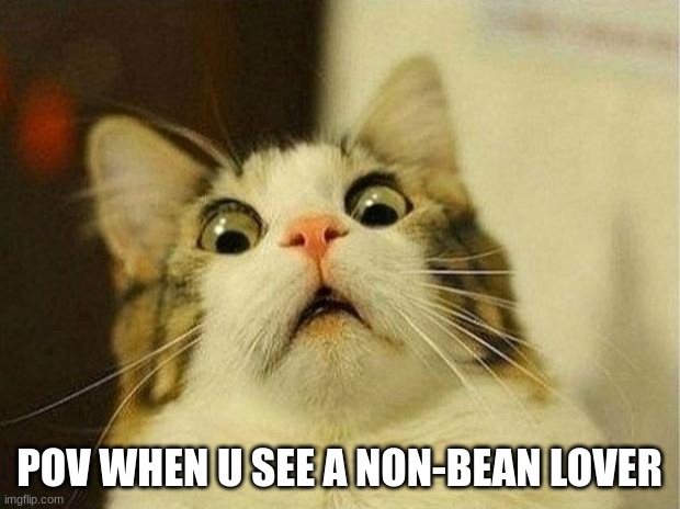 beanz | POV WHEN U SEE A NON-BEAN LOVER | image tagged in memes,scared cat | made w/ Imgflip meme maker