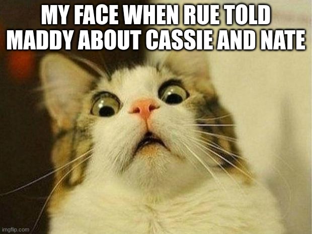 Scared Cat | MY FACE WHEN RUE TOLD MADDY ABOUT CASSIE AND NATE | image tagged in memes,scared cat | made w/ Imgflip meme maker