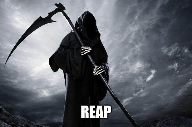 Death | REAP | image tagged in death | made w/ Imgflip meme maker