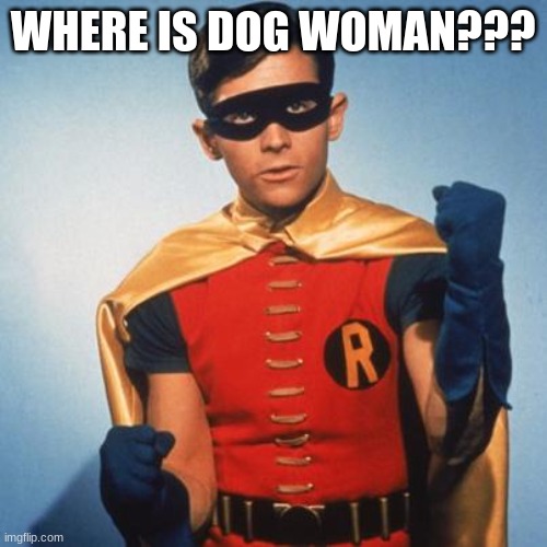 Robin | WHERE IS DOG WOMAN??? | image tagged in robin | made w/ Imgflip meme maker