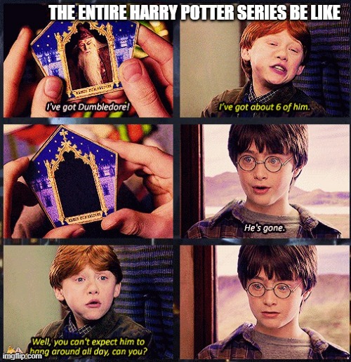 He's Gone ! | THE ENTIRE HARRY POTTER SERIES BE LIKE | image tagged in he's gone | made w/ Imgflip meme maker