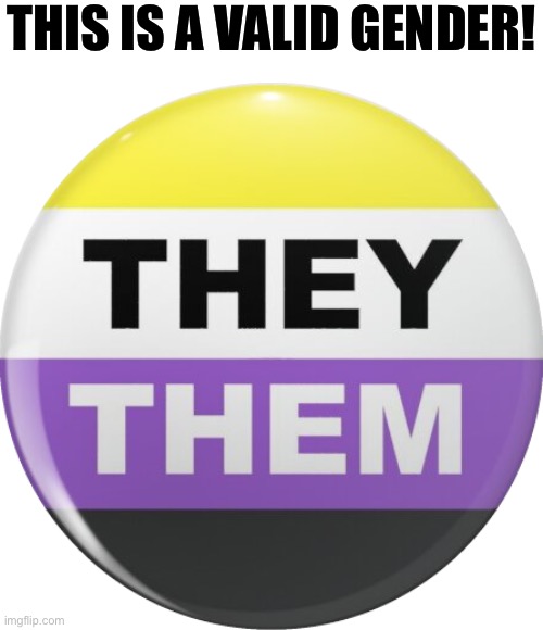 They them pronouns button | THIS IS A VALID GENDER! | image tagged in they them pronouns button | made w/ Imgflip meme maker