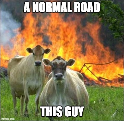 A NORMAL ROAD THIS GUY | image tagged in memes,evil cows | made w/ Imgflip meme maker