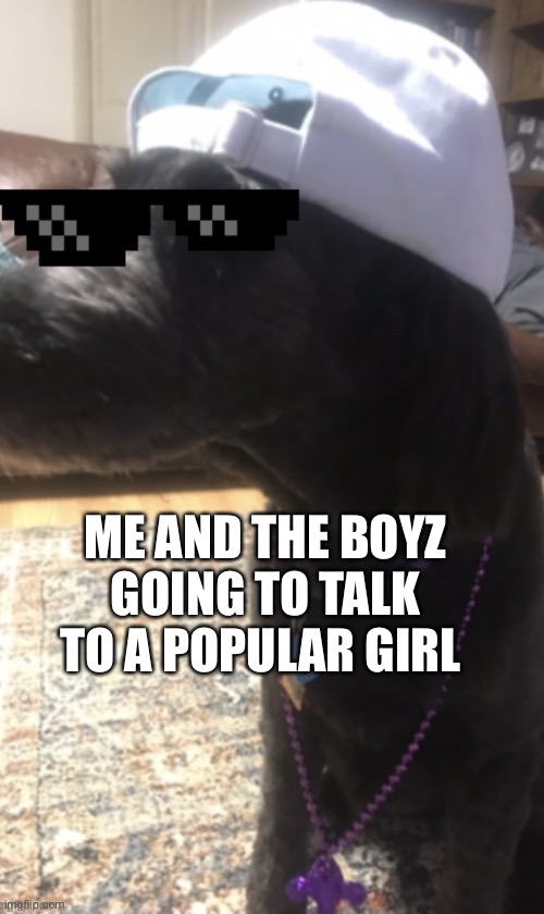 The homies | ME AND THE BOYZ GOING TO TALK TO A POPULAR GIRL | image tagged in lit dog | made w/ Imgflip meme maker