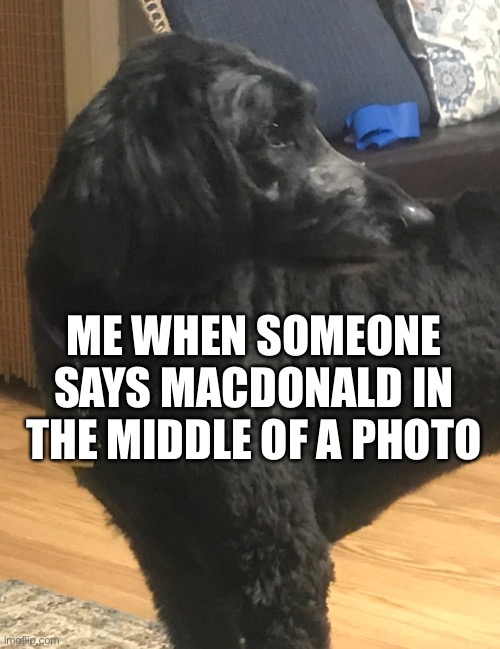 Me | ME WHEN SOMEONE SAYS MACDONALD IN THE MIDDLE OF A PHOTO | image tagged in it be dog | made w/ Imgflip meme maker