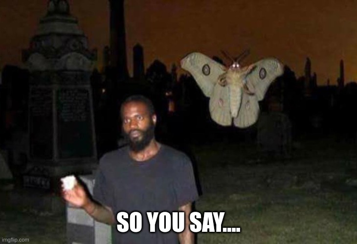 Mothra in the graveyard | SO YOU SAY.... | image tagged in mothra in the graveyard | made w/ Imgflip meme maker