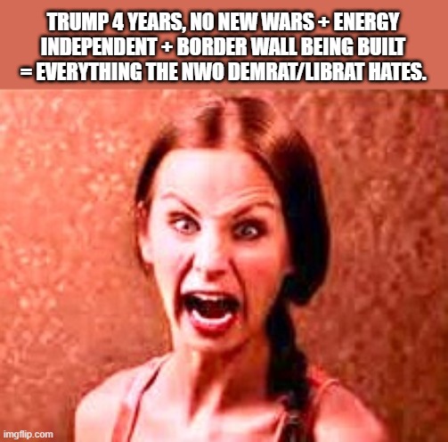 NO new wars + Energy Independent + border wall being built = Everything the NWO DEMrat/LIBrat hates. | TRUMP 4 YEARS, NO NEW WARS + ENERGY INDEPENDENT + BORDER WALL BEING BUILT = EVERYTHING THE NWO DEMRAT/LIBRAT HATES. | image tagged in crazy liberal | made w/ Imgflip meme maker