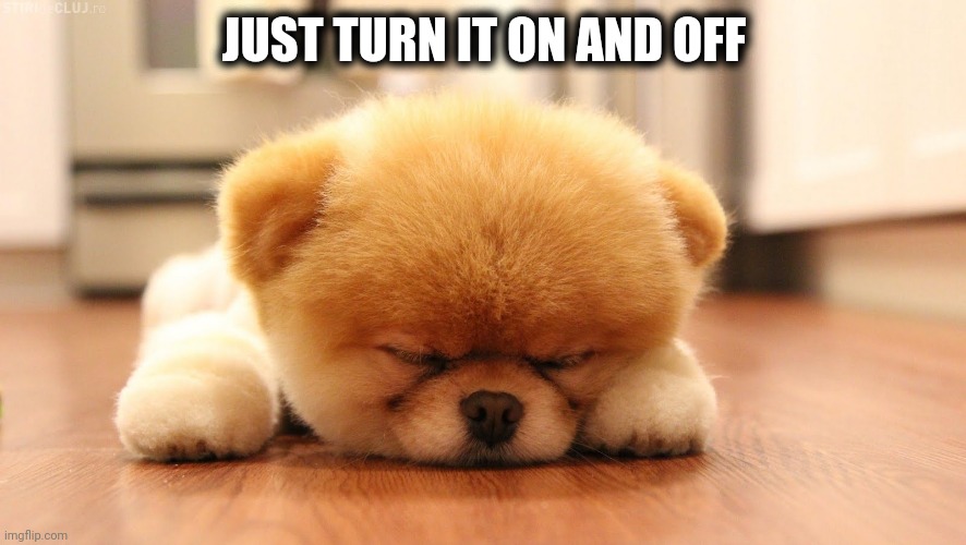 Sleeping dog | JUST TURN IT ON AND OFF | image tagged in sleeping dog | made w/ Imgflip meme maker