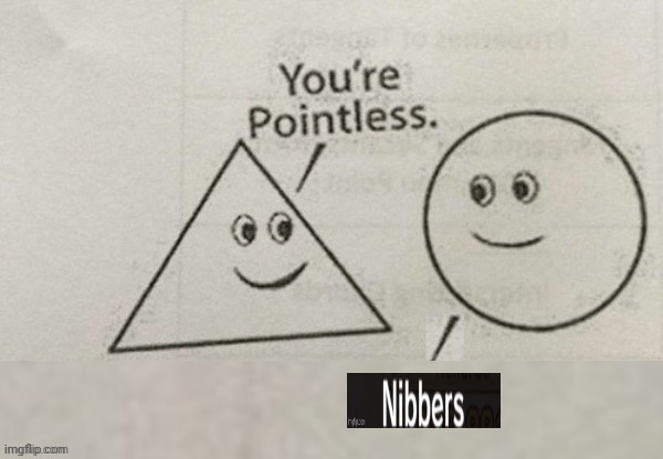 You're Pointless Blank | image tagged in you're pointless blank | made w/ Imgflip meme maker