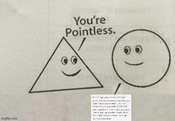 You're Pointless Blank | image tagged in you're pointless blank | made w/ Imgflip meme maker