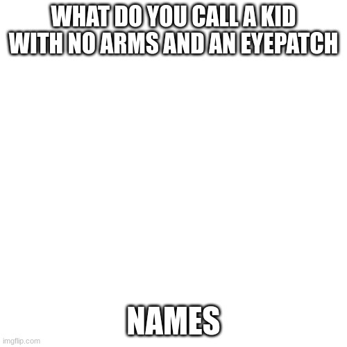 dark humor pt 6 | WHAT DO YOU CALL A KID WITH NO ARMS AND AN EYEPATCH; NAMES | image tagged in memes,lol,offensive,yikes | made w/ Imgflip meme maker
