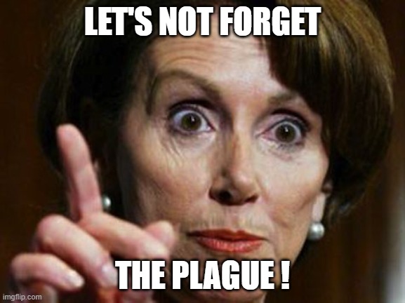 Nancy Pelosi No Spending Problem | LET'S NOT FORGET THE PLAGUE ! | image tagged in nancy pelosi no spending problem | made w/ Imgflip meme maker