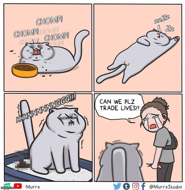 image tagged in comics/cartoons | made w/ Imgflip meme maker