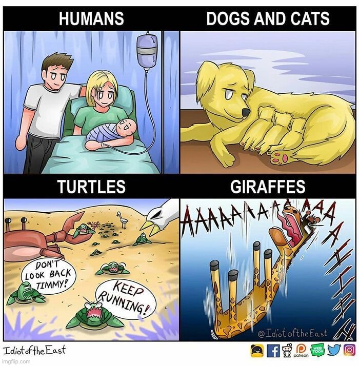 image tagged in comics/cartoons | made w/ Imgflip meme maker