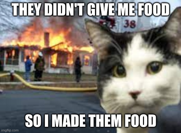 Does this work? | THEY DIDN'T GIVE ME FOOD; SO I MADE THEM FOOD | image tagged in disaster cat | made w/ Imgflip meme maker
