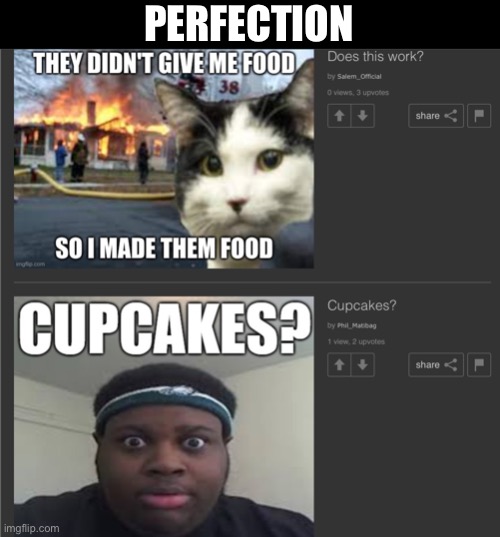 PERFECTION | made w/ Imgflip meme maker