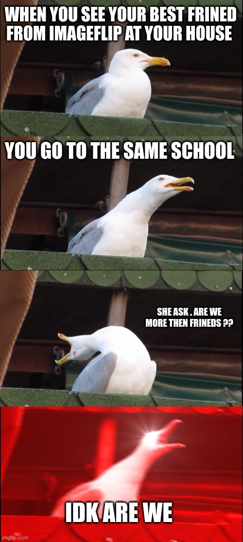 Inhaling Seagull Meme | WHEN YOU SEE YOUR BEST FRINED FROM IMAGEFLIP AT YOUR HOUSE; YOU GO TO THE SAME SCHOOL; SHE ASK . ARE WE MORE THEN FRINEDS ?? IDK ARE WE | image tagged in memes,inhaling seagull | made w/ Imgflip meme maker