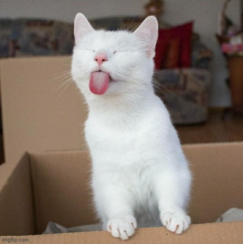 :P | image tagged in p | made w/ Imgflip meme maker