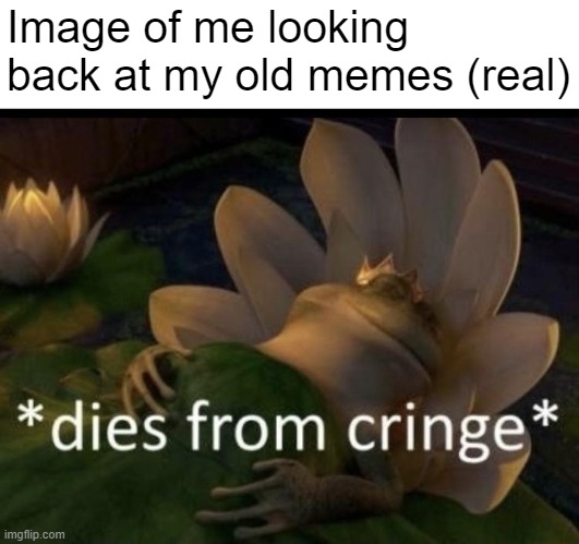 Please ignore sum of my old memes | Image of me looking back at my old memes (real) | image tagged in dies from cringe | made w/ Imgflip meme maker