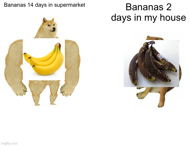 Buff Doge vs. Cheems Meme | Bananas 14 days in supermarket; Bananas 2 days in my house | image tagged in memes,buff doge vs cheems | made w/ Imgflip meme maker