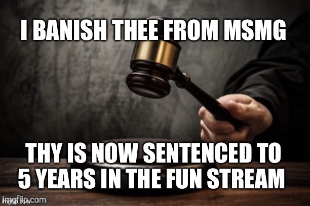 Court | I BANISH THEE FROM MSMG THY IS NOW SENTENCED TO 5 YEARS IN THE FUN STREAM | image tagged in court | made w/ Imgflip meme maker