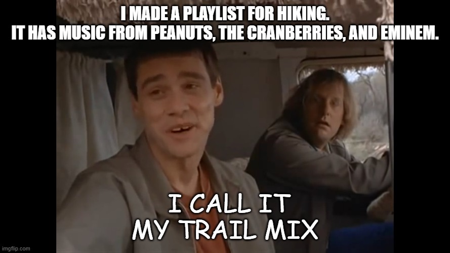 Daily Bad Dad Joke March 14 2022 | I MADE A PLAYLIST FOR HIKING.
IT HAS MUSIC FROM PEANUTS, THE CRANBERRIES, AND EMINEM. I CALL IT MY TRAIL MIX | image tagged in dumb and dumber we don t normally | made w/ Imgflip meme maker