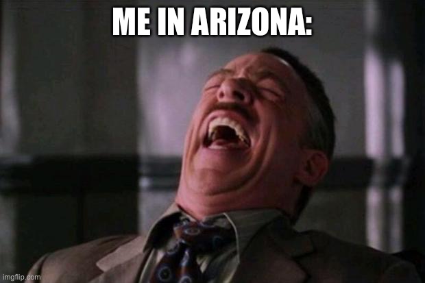 Spider Man boss | ME IN ARIZONA: | image tagged in spider man boss | made w/ Imgflip meme maker