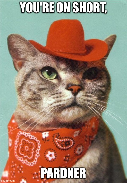 Cowboy Cat | YOU'RE ON SHORT, PARDNER | image tagged in cowboy cat | made w/ Imgflip meme maker