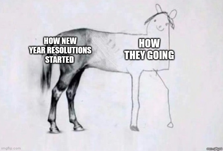 No motivation | HOW NEW YEAR RESOLUTIONS STARTED; HOW THEY GOING | image tagged in horse drawing | made w/ Imgflip meme maker