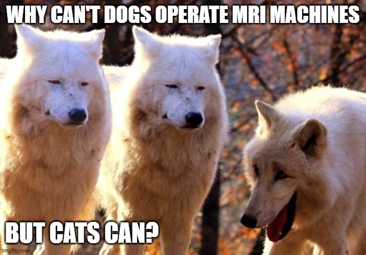 dog jokes | WHY CAN'T DOGS OPERATE MRI MACHINES; BUT CATS CAN? | image tagged in 3 wolves | made w/ Imgflip meme maker