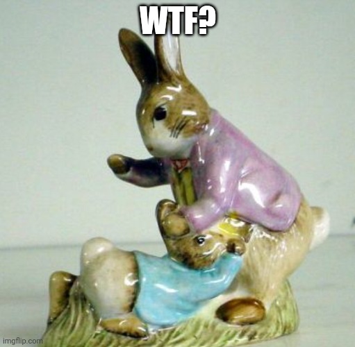 WTF? | image tagged in rabbits,bunnies,funny,lol | made w/ Imgflip meme maker