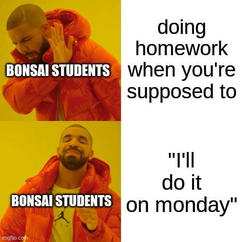 Drake Hotline Bling Meme | doing homework when you're supposed to; BONSAI STUDENTS; "I'll do it on monday"; BONSAI STUDENTS | image tagged in memes,drake hotline bling | made w/ Imgflip meme maker