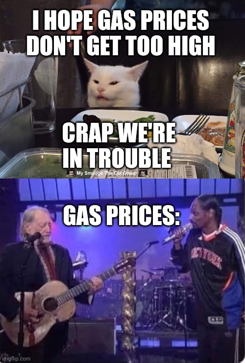 I HOPE GAS PRICES DON'T GET TOO HIGH; CRAP WE'RE IN TROUBLE; GAS PRICES: | image tagged in smudge the cat,smudge | made w/ Imgflip meme maker