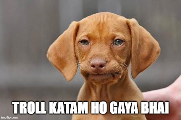 Dissapointed puppy | TROLL KATAM HO GAYA BHAI | image tagged in dissapointed puppy | made w/ Imgflip meme maker
