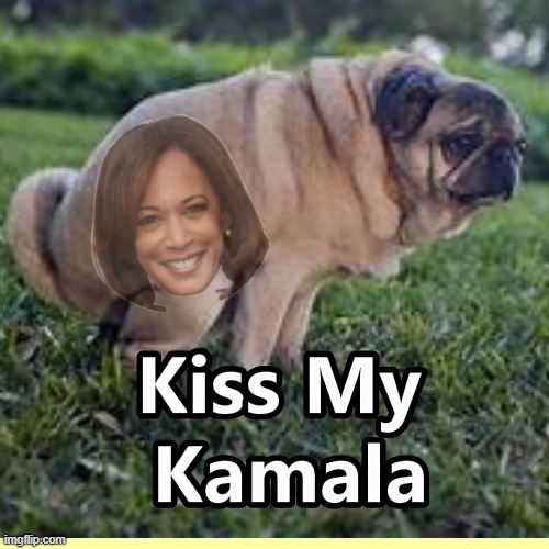 Kissy Kissy then Lets Cackle | image tagged in kamala harris,memes | made w/ Imgflip meme maker