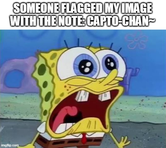 MOMMY PICK ME UP IM SCARED | SOMEONE FLAGGED MY IMAGE WITH THE NOTE: CAPTO-CHAN~ | image tagged in spongebob crying/screaming | made w/ Imgflip meme maker