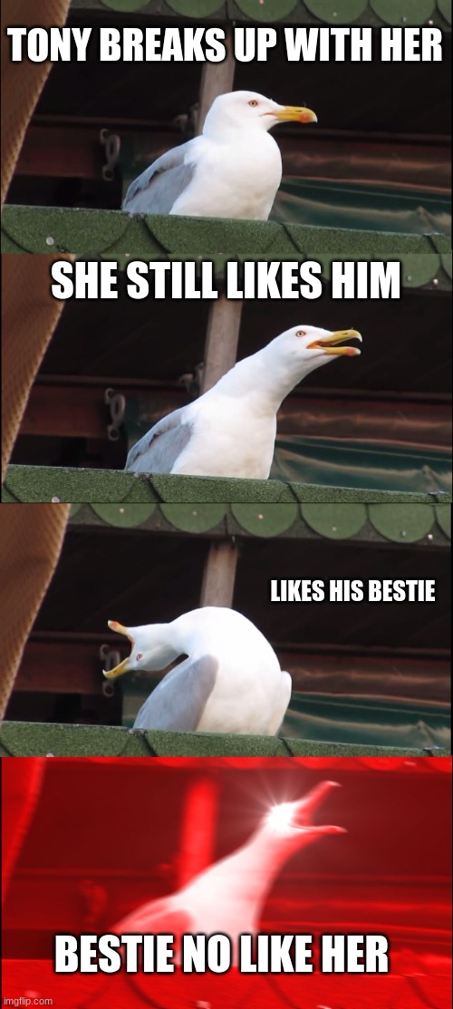 Inhaling Seagull | TONY BREAKS UP WITH HER; SHE STILL LIKES HIM; LIKES HIS BESTIE; BESTIE NO LIKE HER | image tagged in memes,inhaling seagull | made w/ Imgflip meme maker