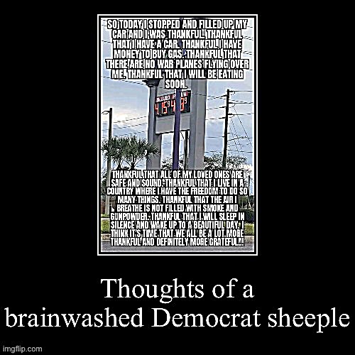 Thoughts of a brainwashed Democrat sheeple | image tagged in thoughts of a brainwashed democrat sheeple | made w/ Imgflip meme maker