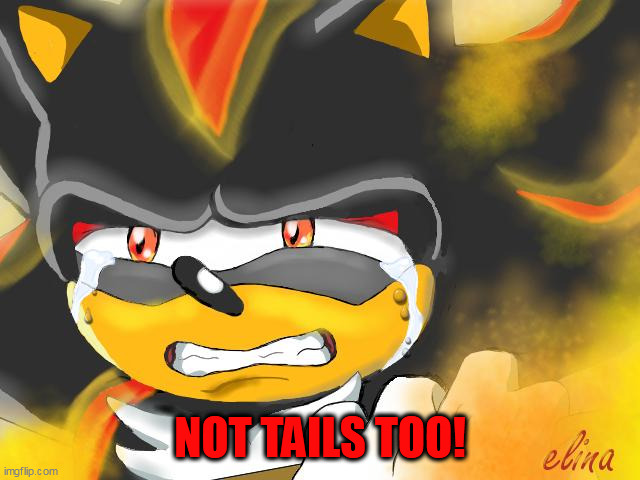 Shadow the Hedgehog Crying | NOT TAILS TOO! | image tagged in shadow the hedgehog crying | made w/ Imgflip meme maker